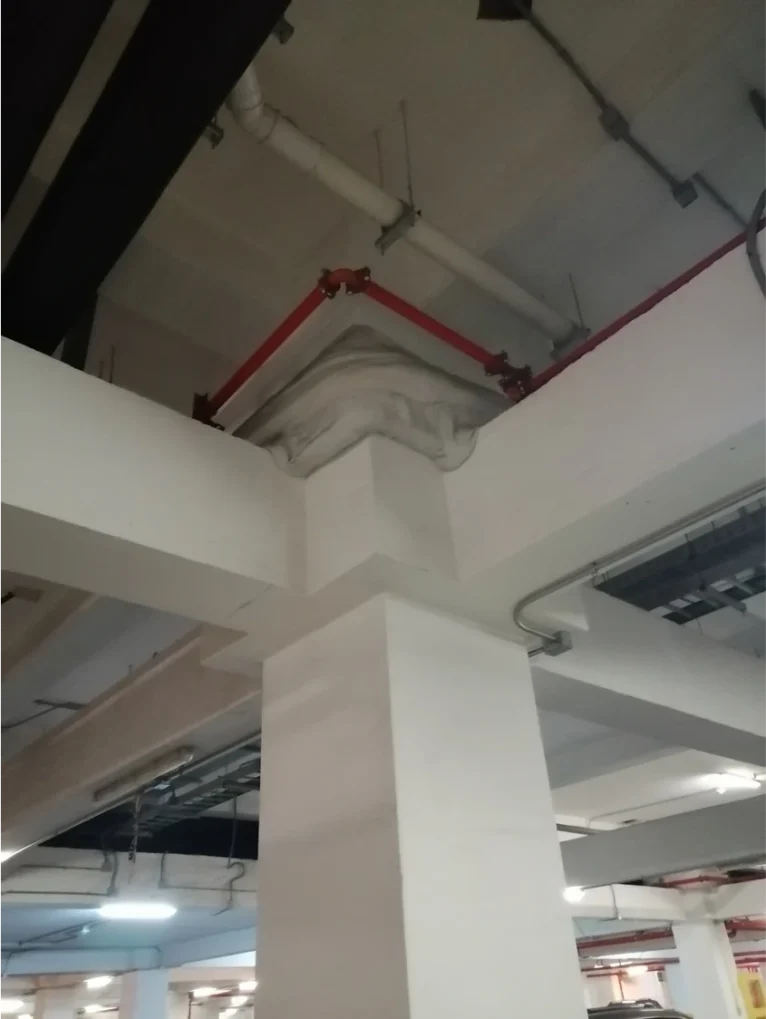 exequiel-gonzales-cortes-7-grupo-ventura